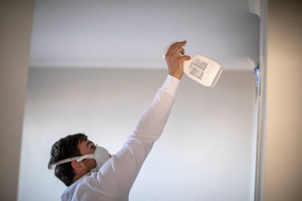 Office Mold Removal Services in Forest Hills, MI