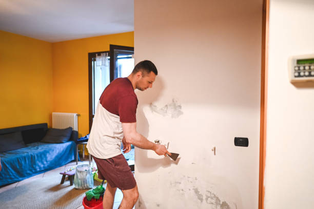 Best Fast Mold Removal  in Forest Hills, MI